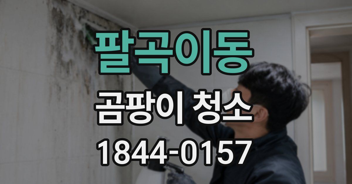 팔곡이동 곰팡이 청소