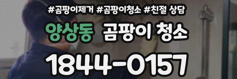 양상동 곰팡이 청소