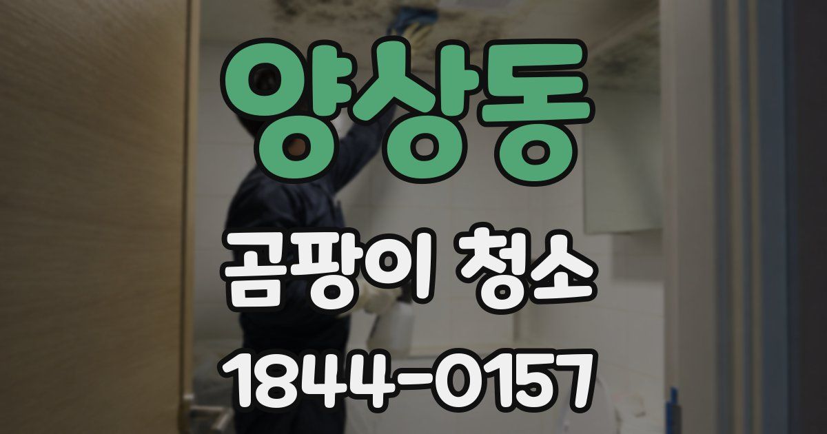 양상동 곰팡이 청소