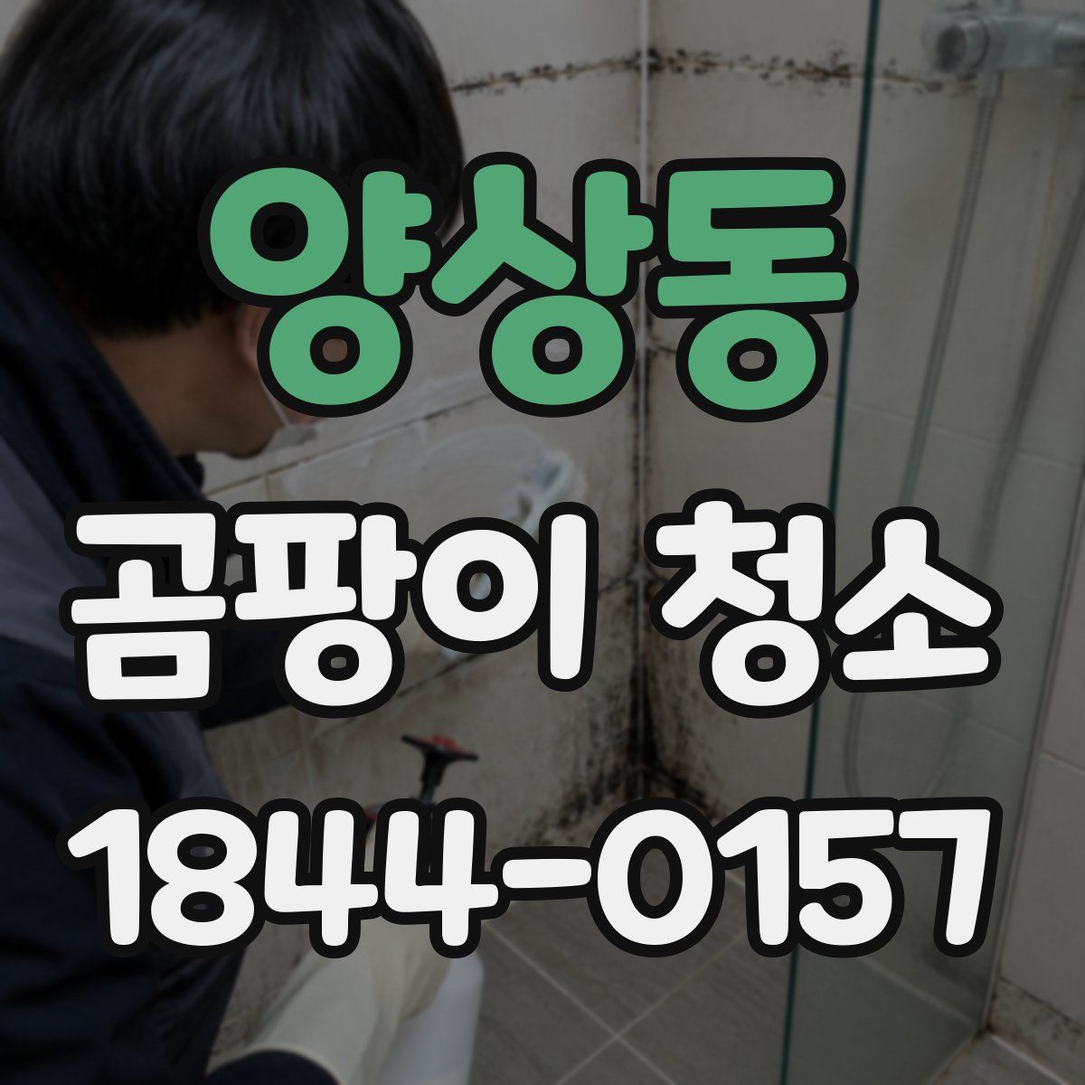 양상동 곰팡이 청소