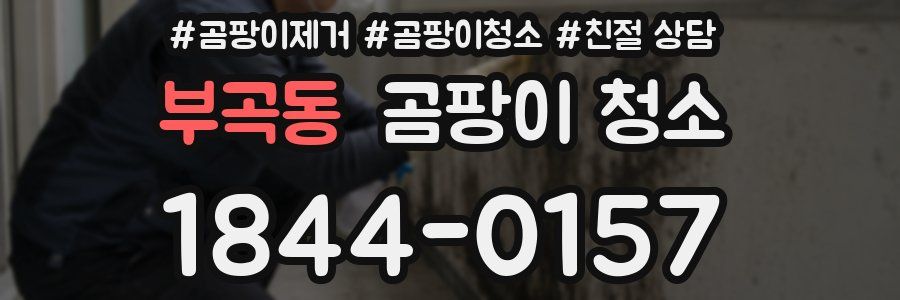 부곡동 곰팡이 청소