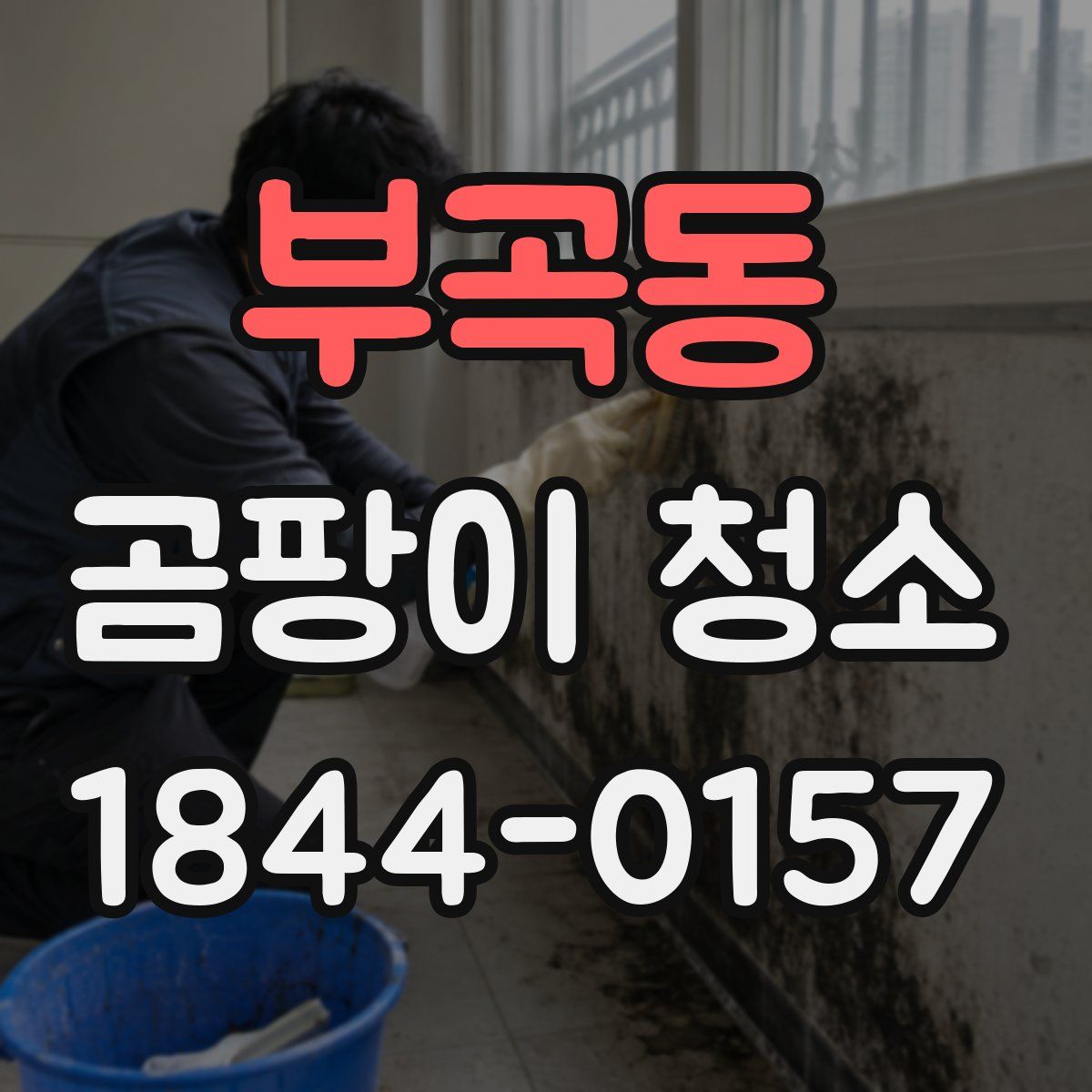 부곡동 곰팡이 청소