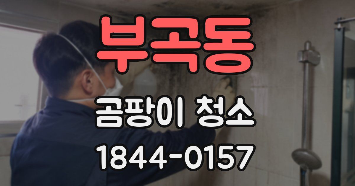 부곡동 곰팡이 청소