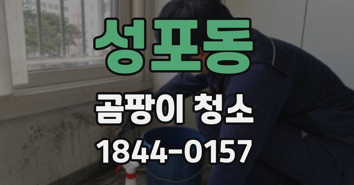 성포동 곰팡이 청소
