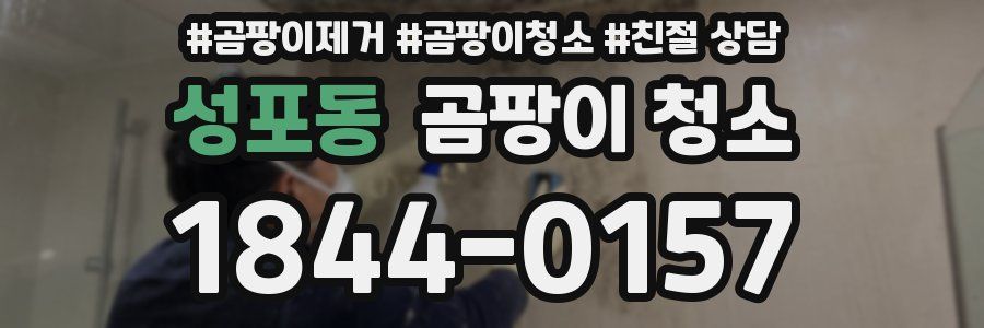 성포동 곰팡이 청소