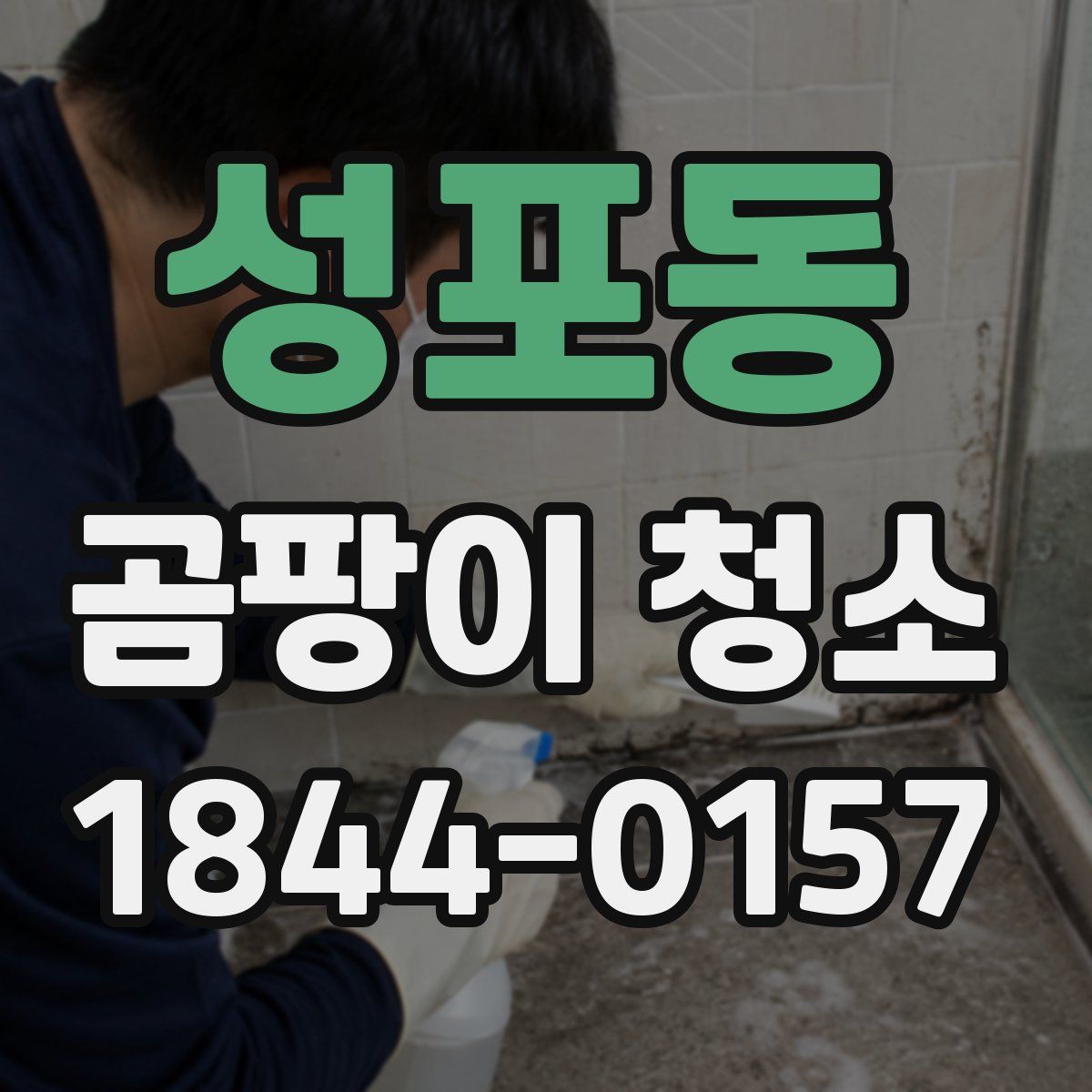 성포동 곰팡이 청소