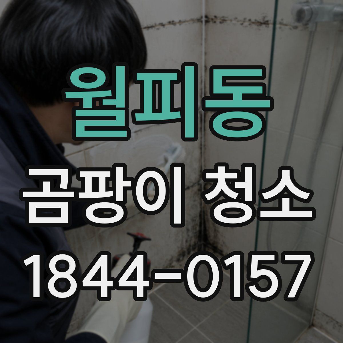 월피동 곰팡이 청소