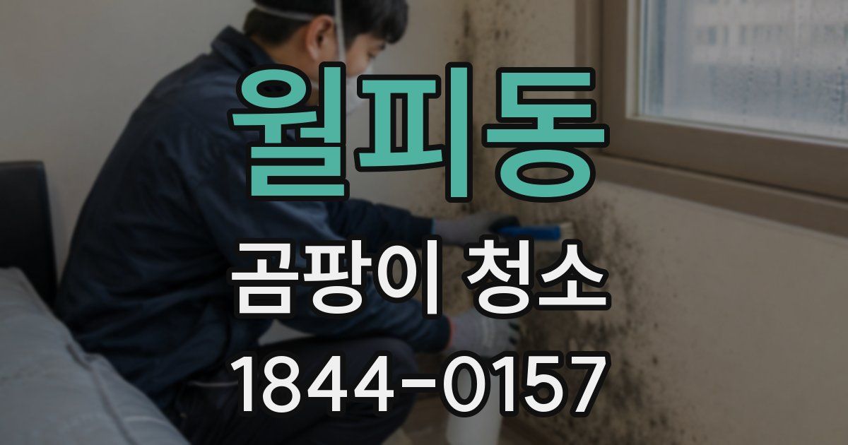 월피동 곰팡이 청소
