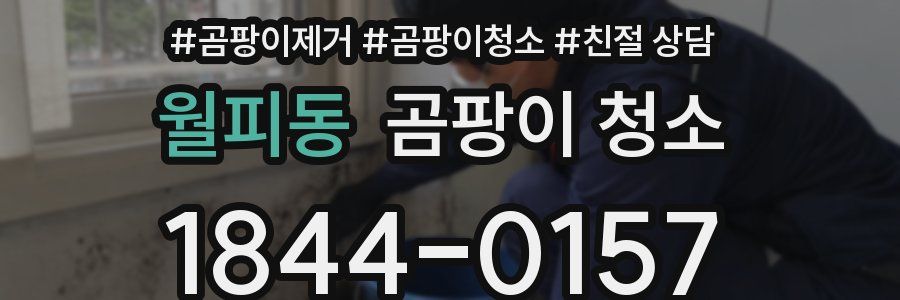 월피동 곰팡이 청소
