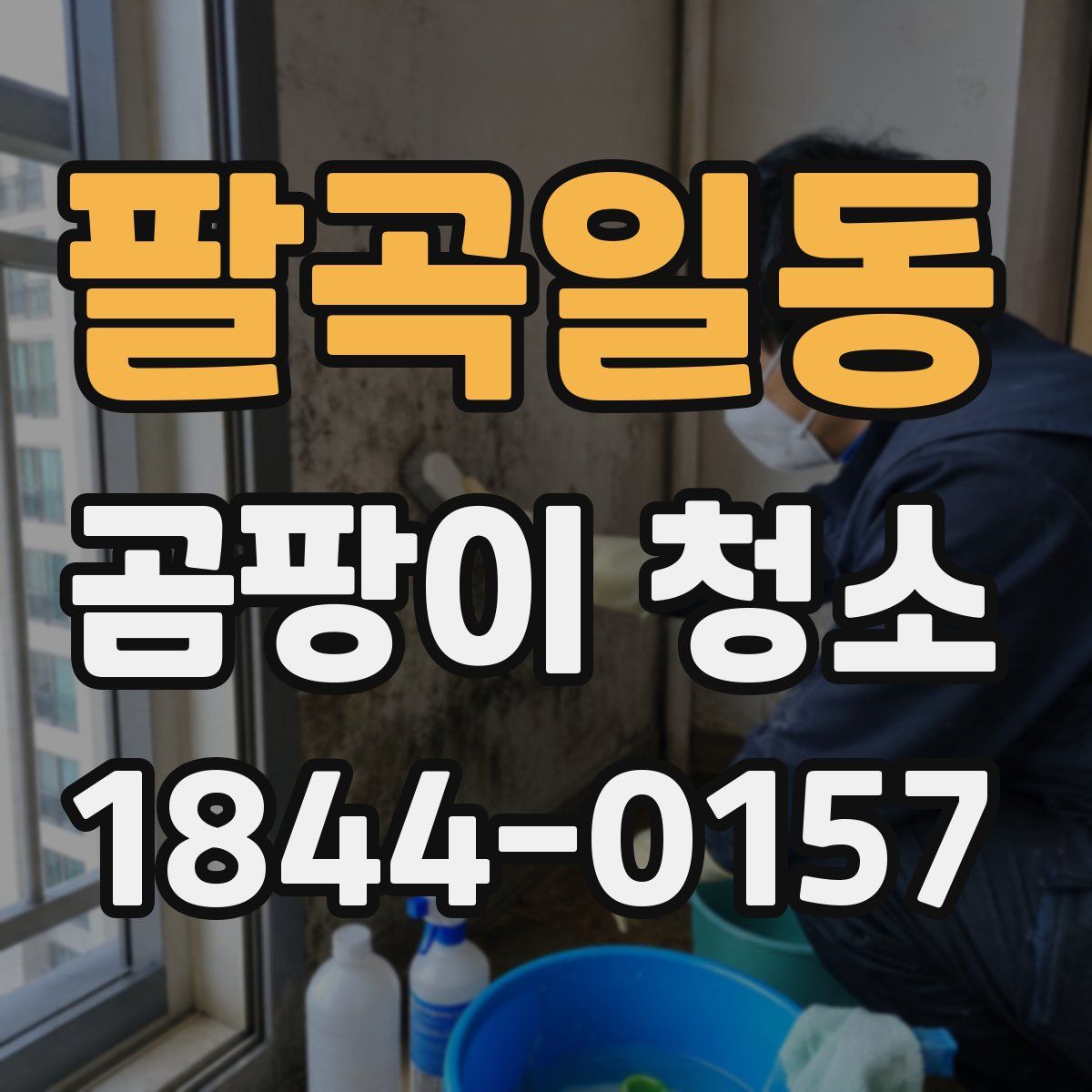 팔곡일동 곰팡이 청소