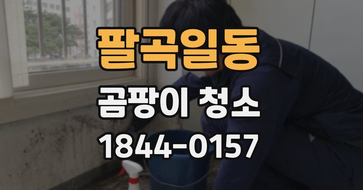 팔곡일동 곰팡이 청소