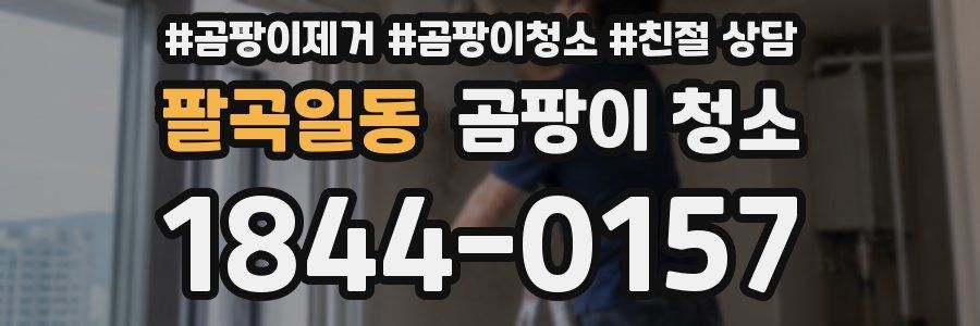 팔곡일동 곰팡이 청소