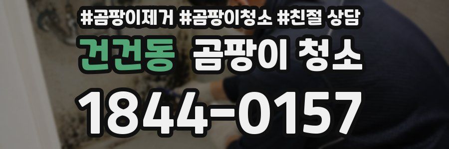 건건동 곰팡이 청소