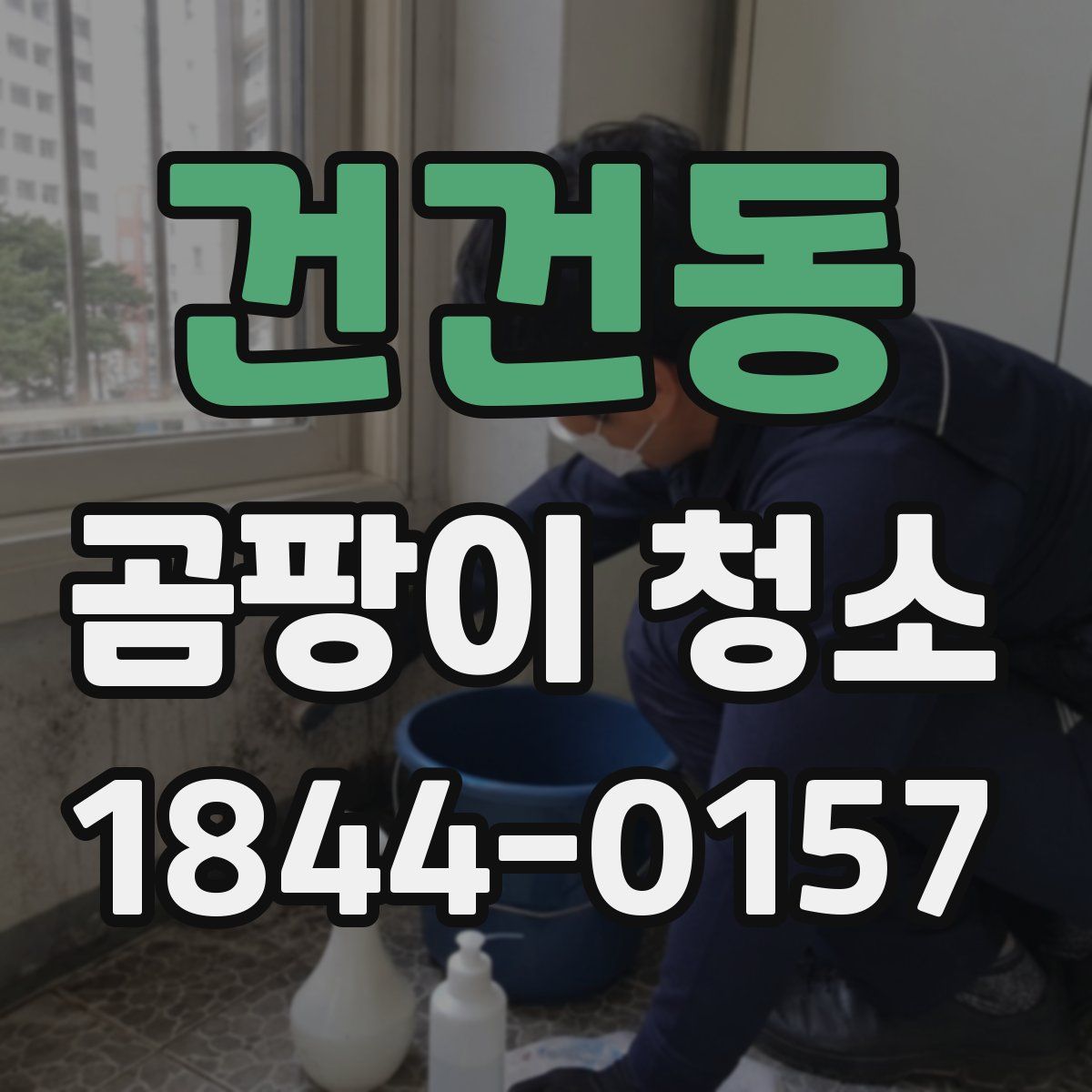 건건동 곰팡이 청소