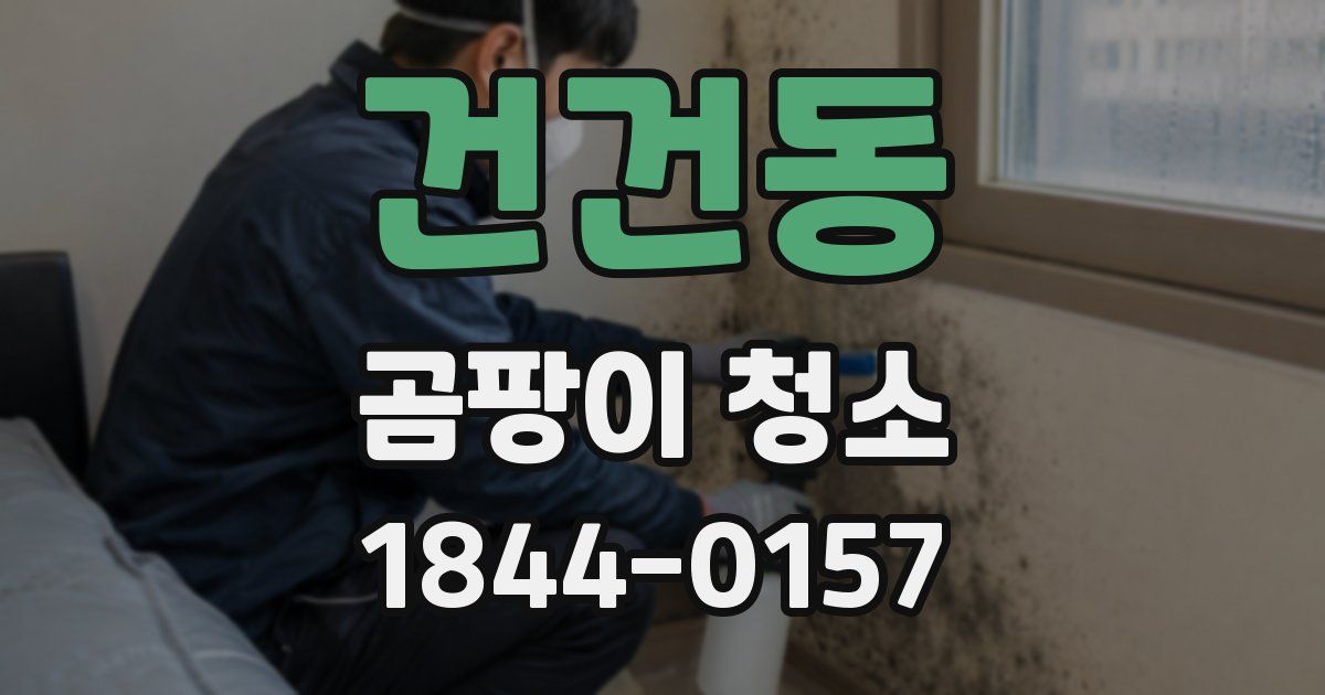 건건동 곰팡이 청소