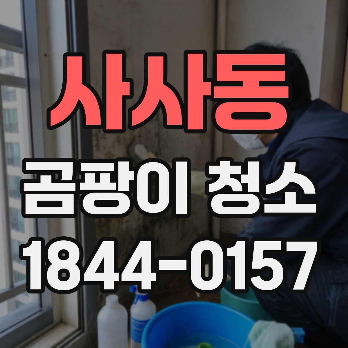 사사동 곰팡이 청소