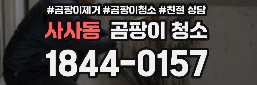 사사동 곰팡이 청소