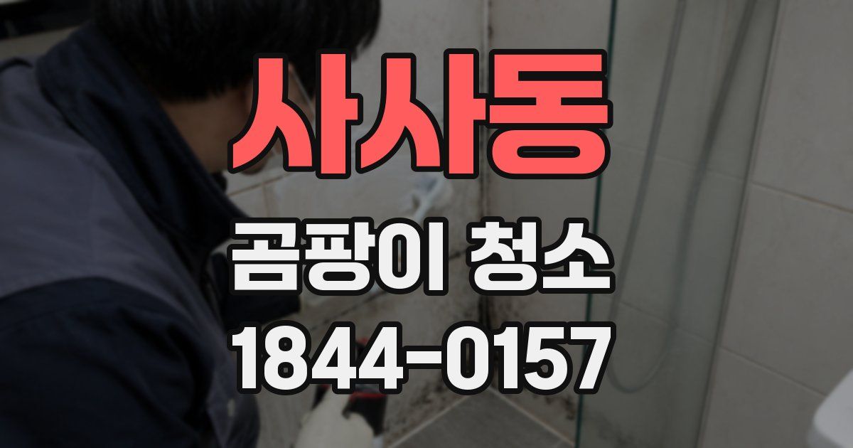 사사동 곰팡이 청소