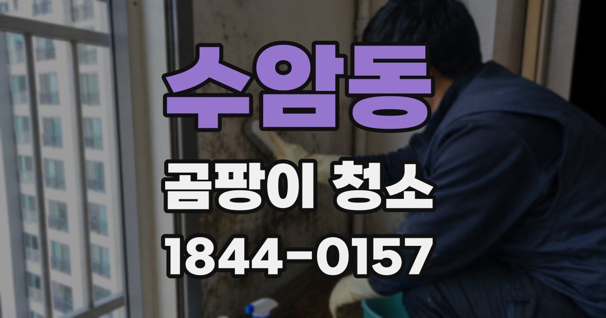 수암동 곰팡이 청소
