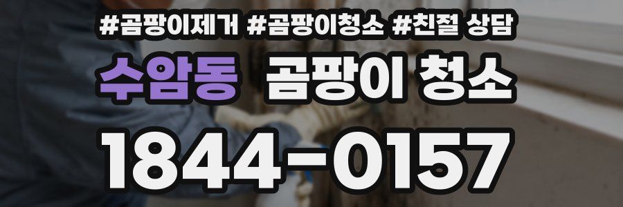 수암동 곰팡이 청소