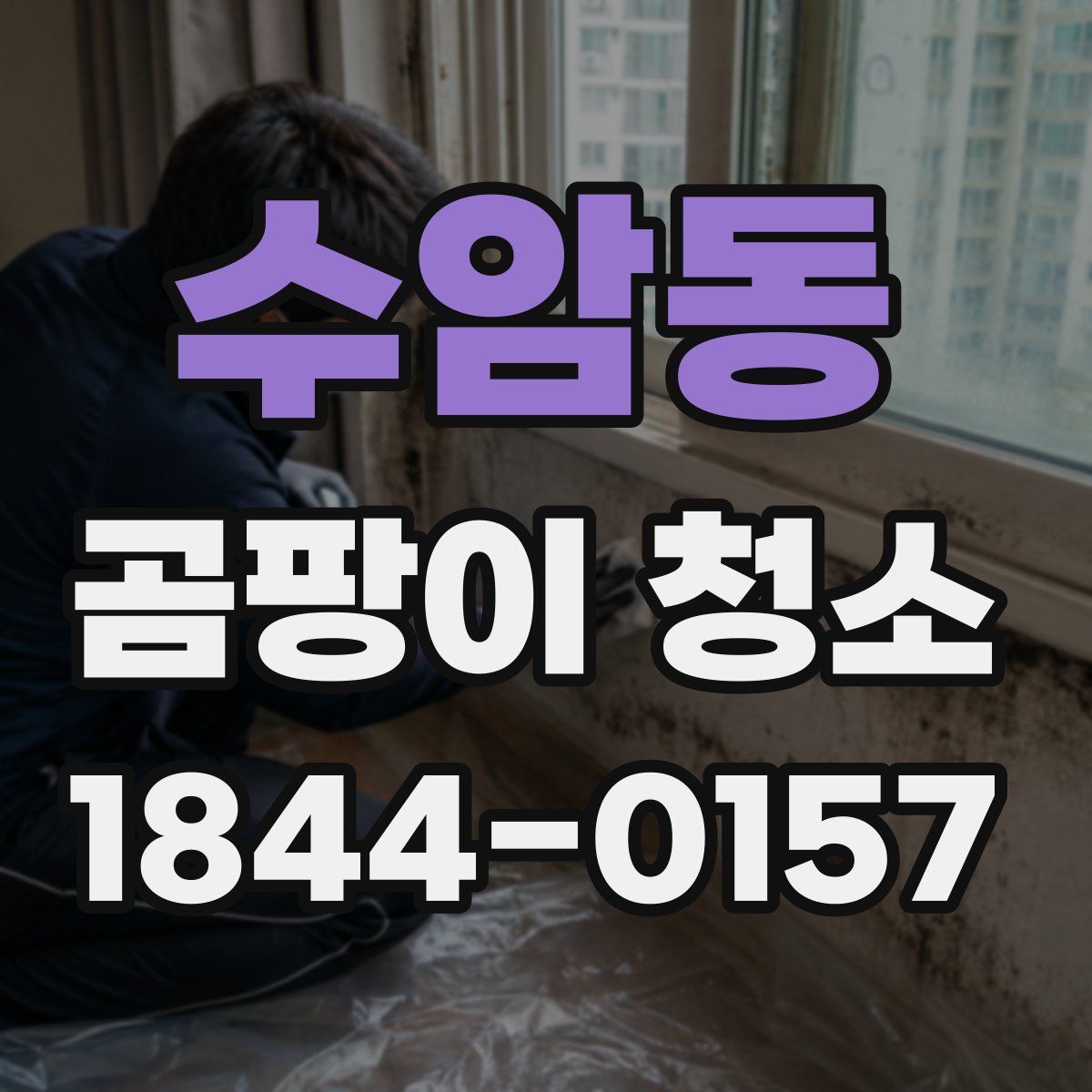 수암동 곰팡이 청소