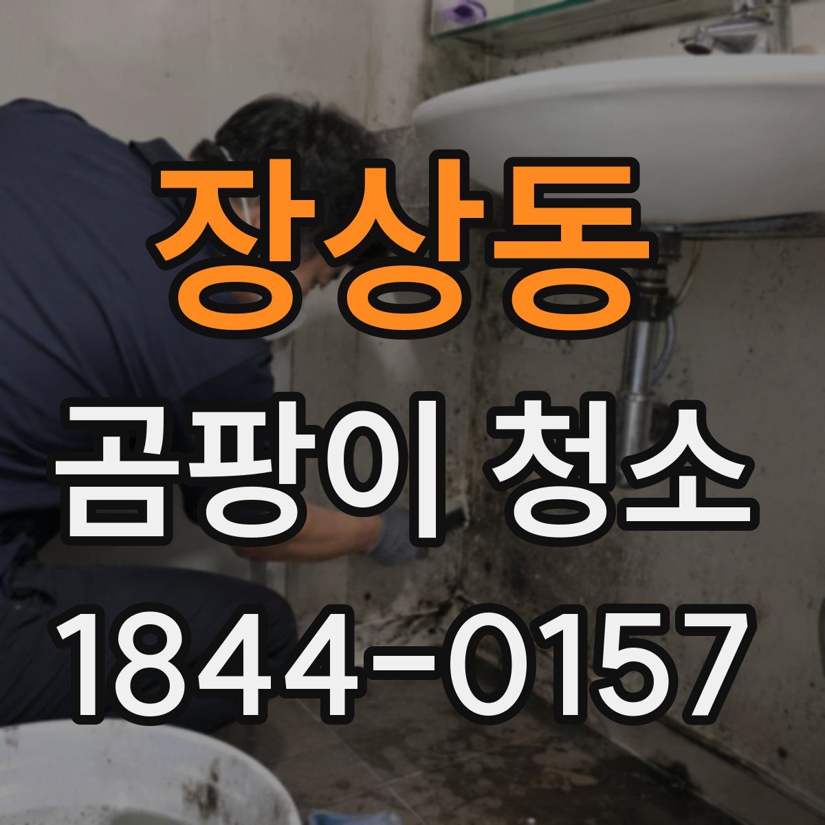 장상동 곰팡이 청소
