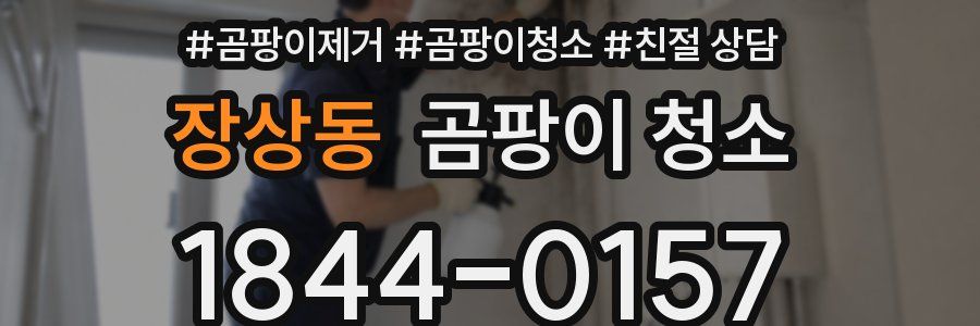 장상동 곰팡이 청소