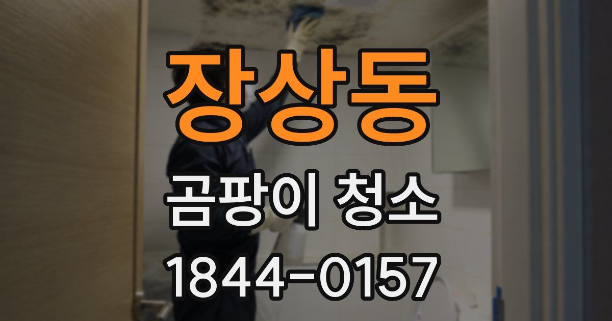 장상동 곰팡이 청소
