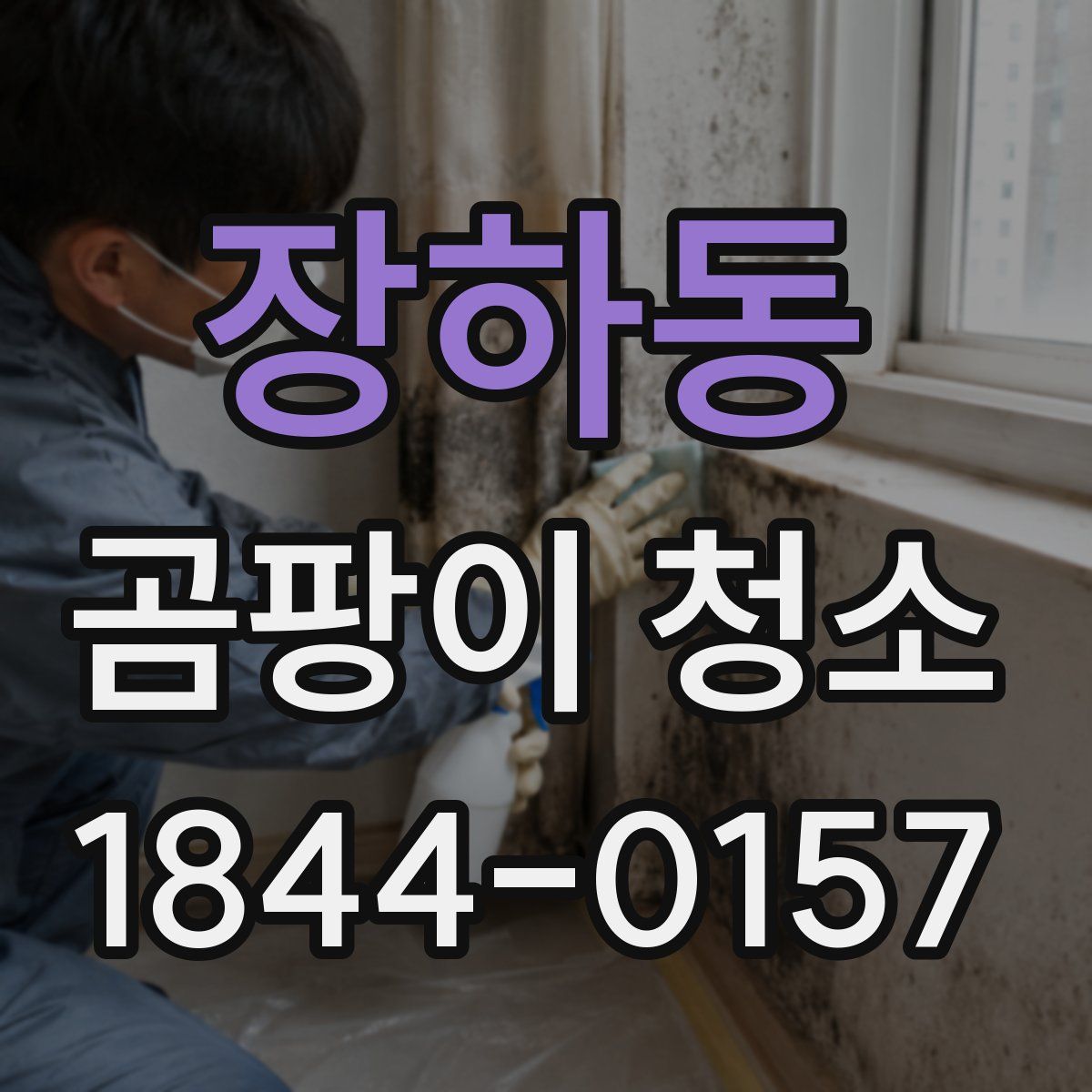 장하동 곰팡이 청소