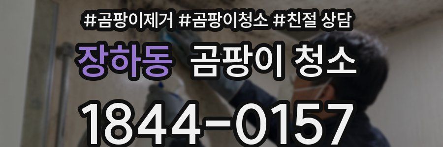 장하동 곰팡이 청소