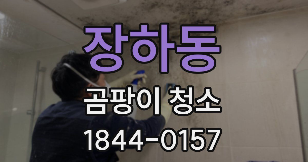 장하동 곰팡이 청소