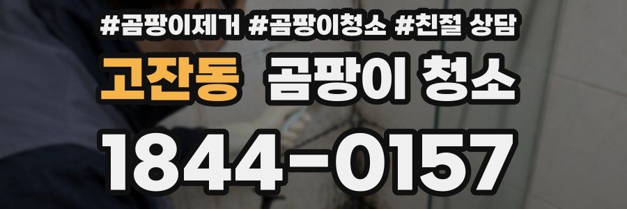 고잔동 곰팡이 청소