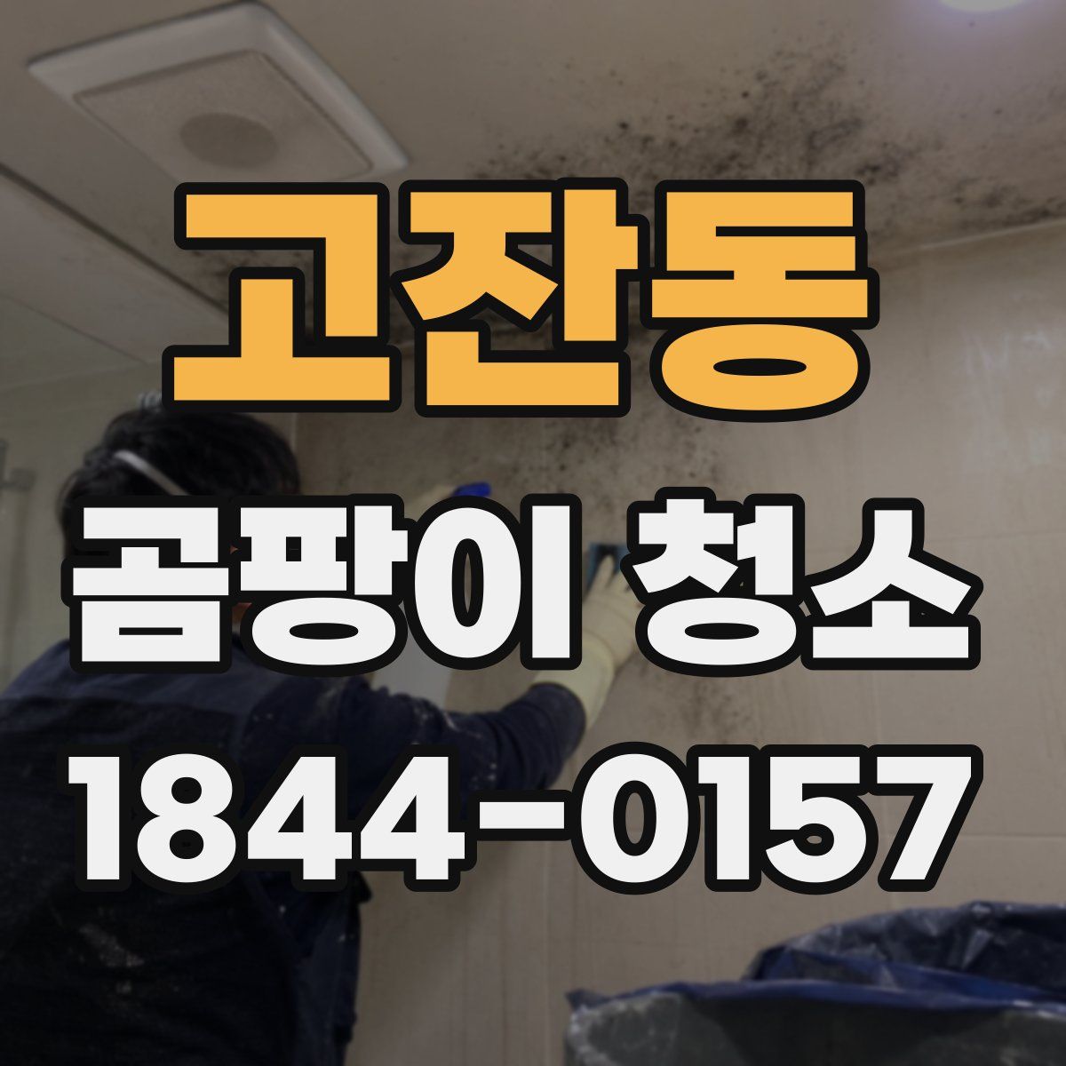 고잔동 곰팡이 청소