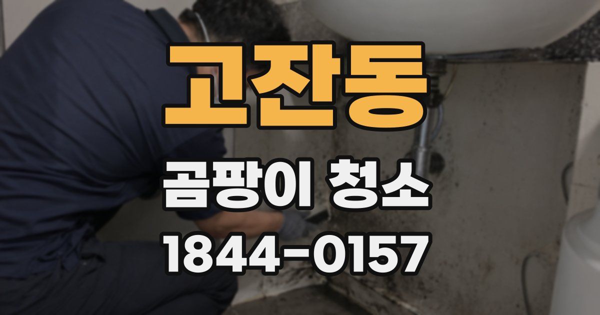 고잔동 곰팡이 청소