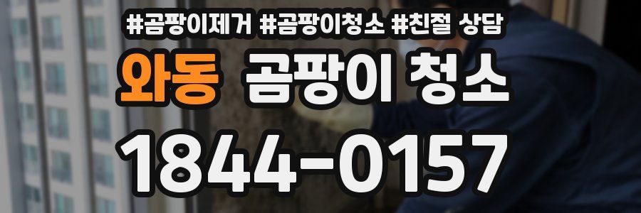 와동 곰팡이 청소
