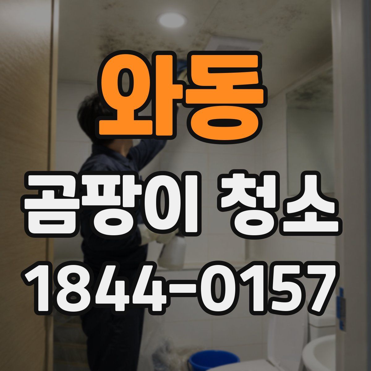 와동 곰팡이 청소