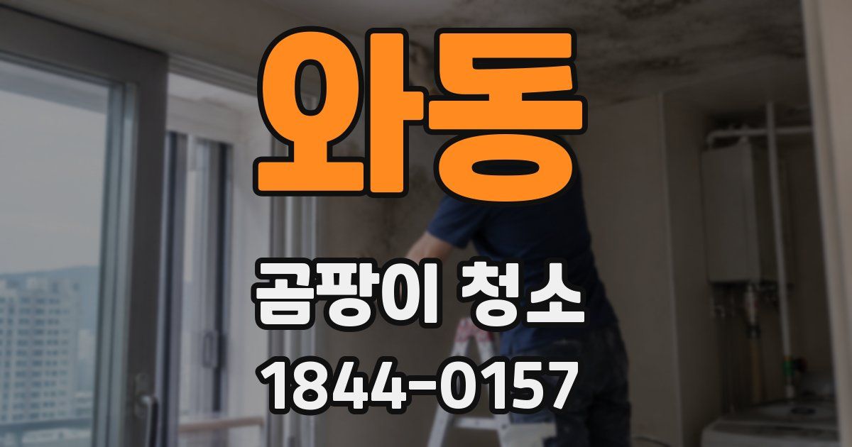 와동 곰팡이 청소
