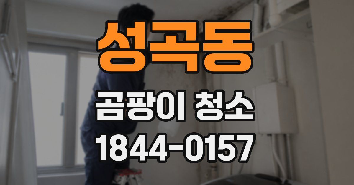 성곡동 곰팡이 청소
