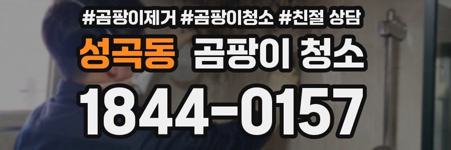 성곡동 곰팡이 청소