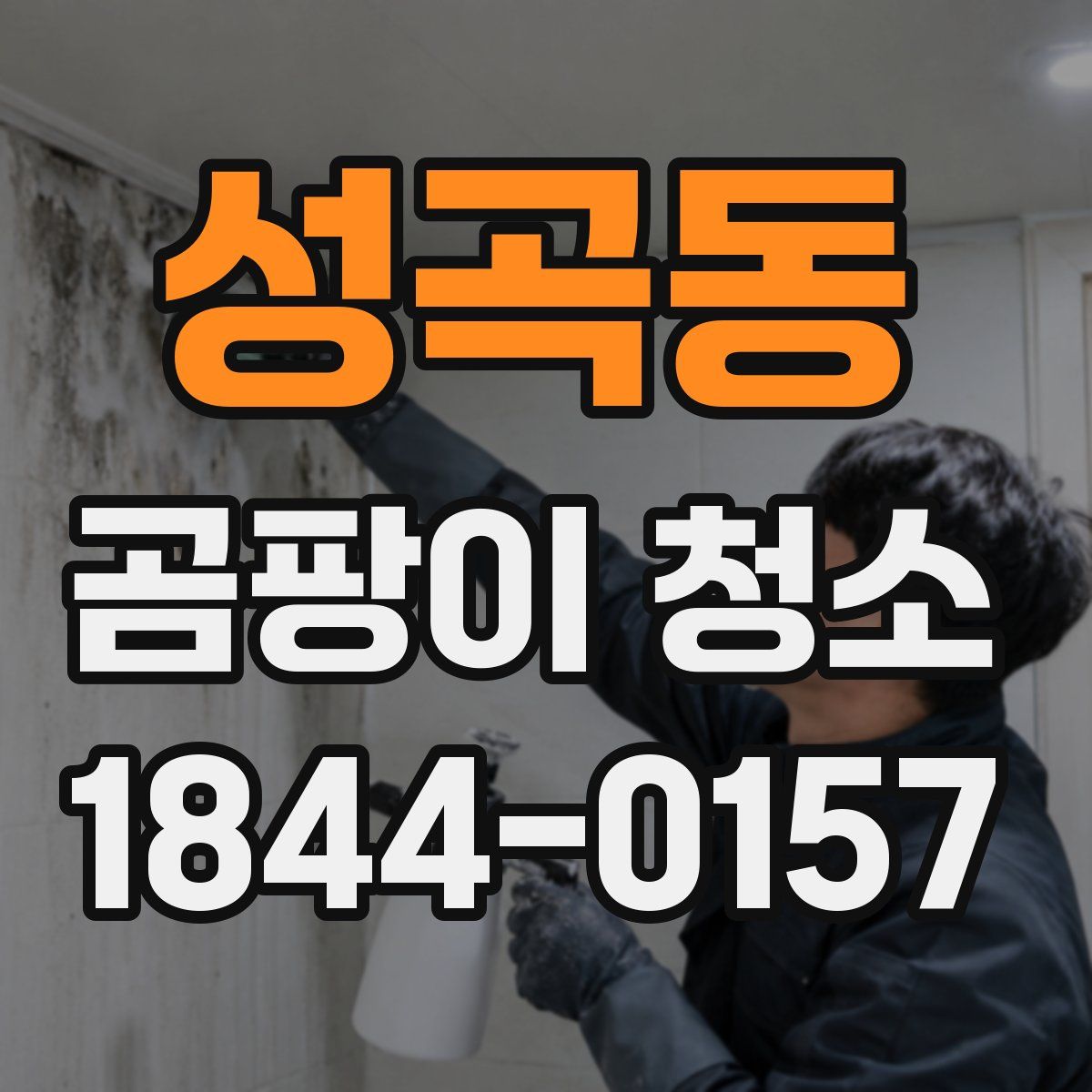 성곡동 곰팡이 청소