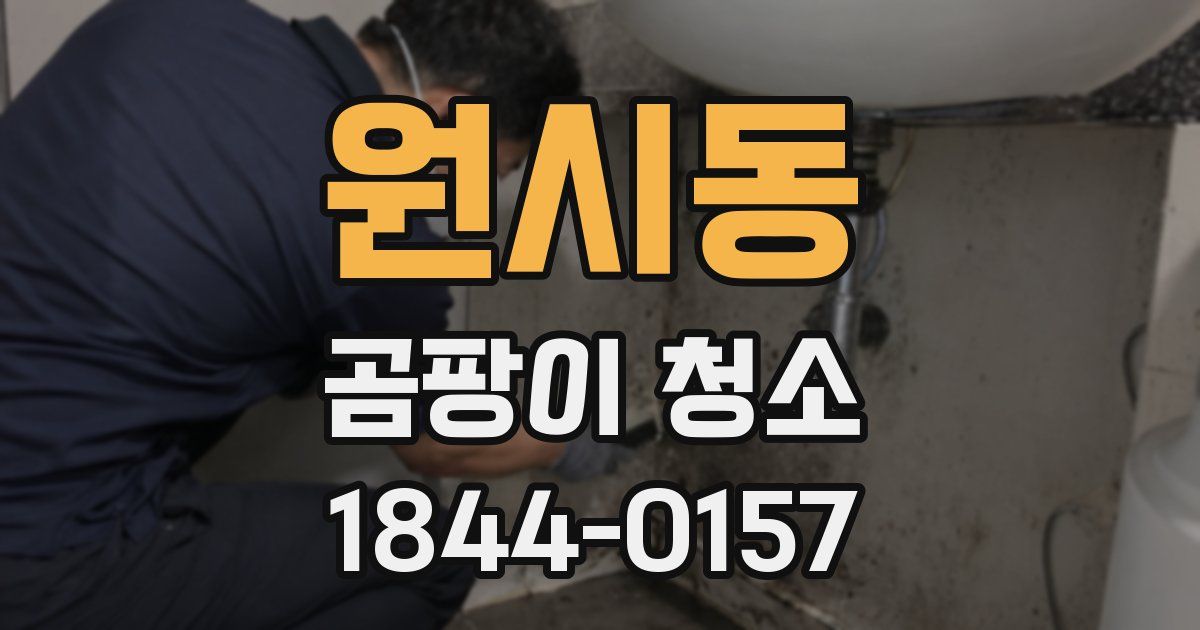 원시동 곰팡이 청소