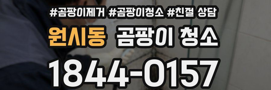 원시동 곰팡이 청소