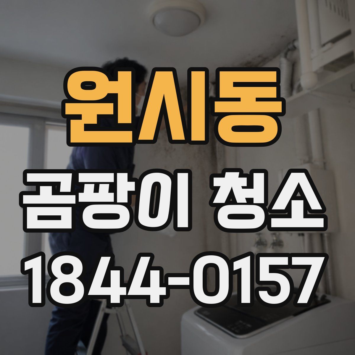 원시동 곰팡이 청소