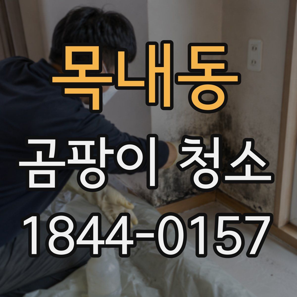 목내동 곰팡이 청소