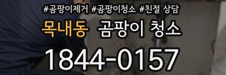 목내동 곰팡이 청소