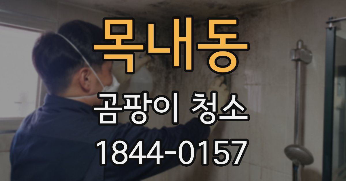 목내동 곰팡이 청소