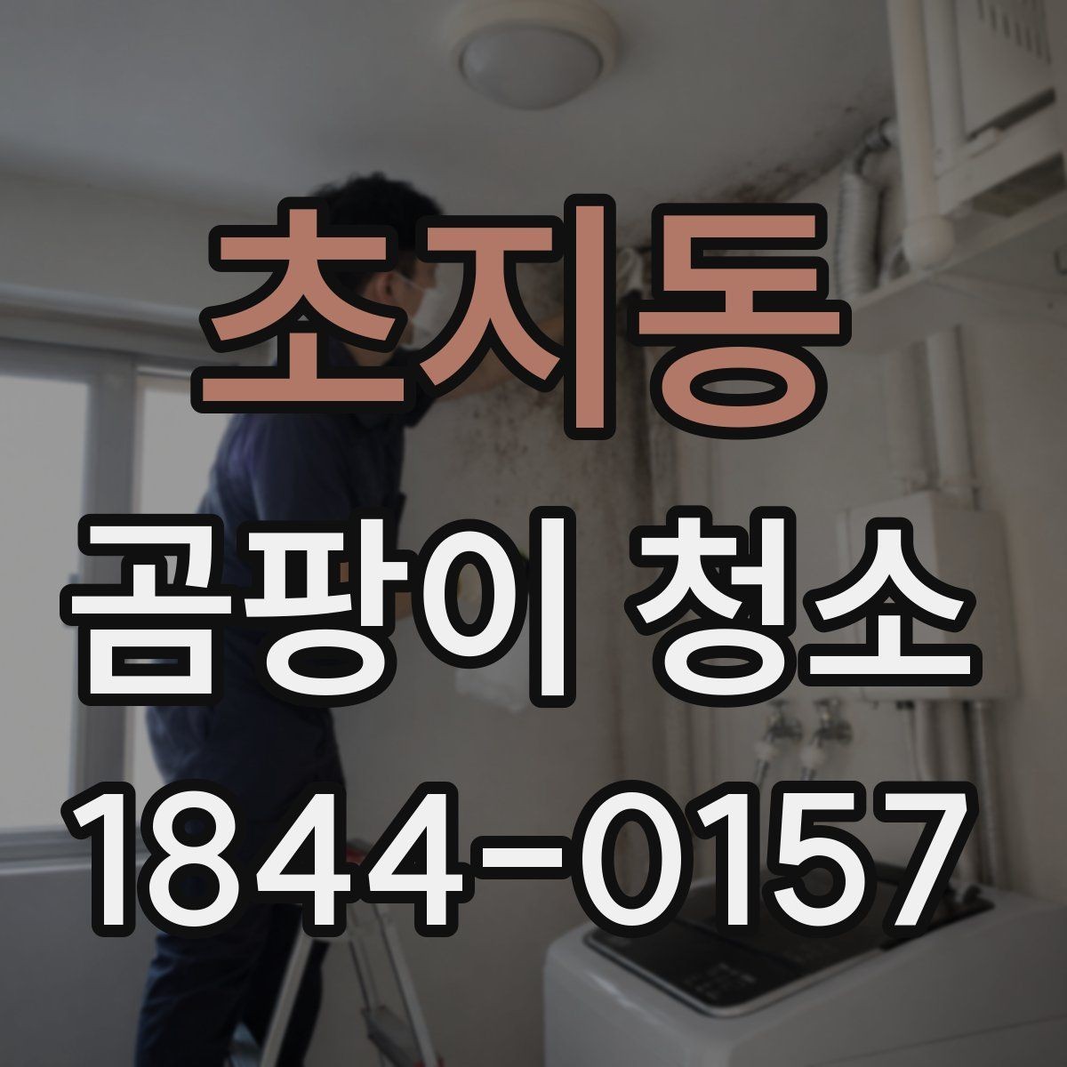 초지동 곰팡이 청소 서비스의 기본 범위