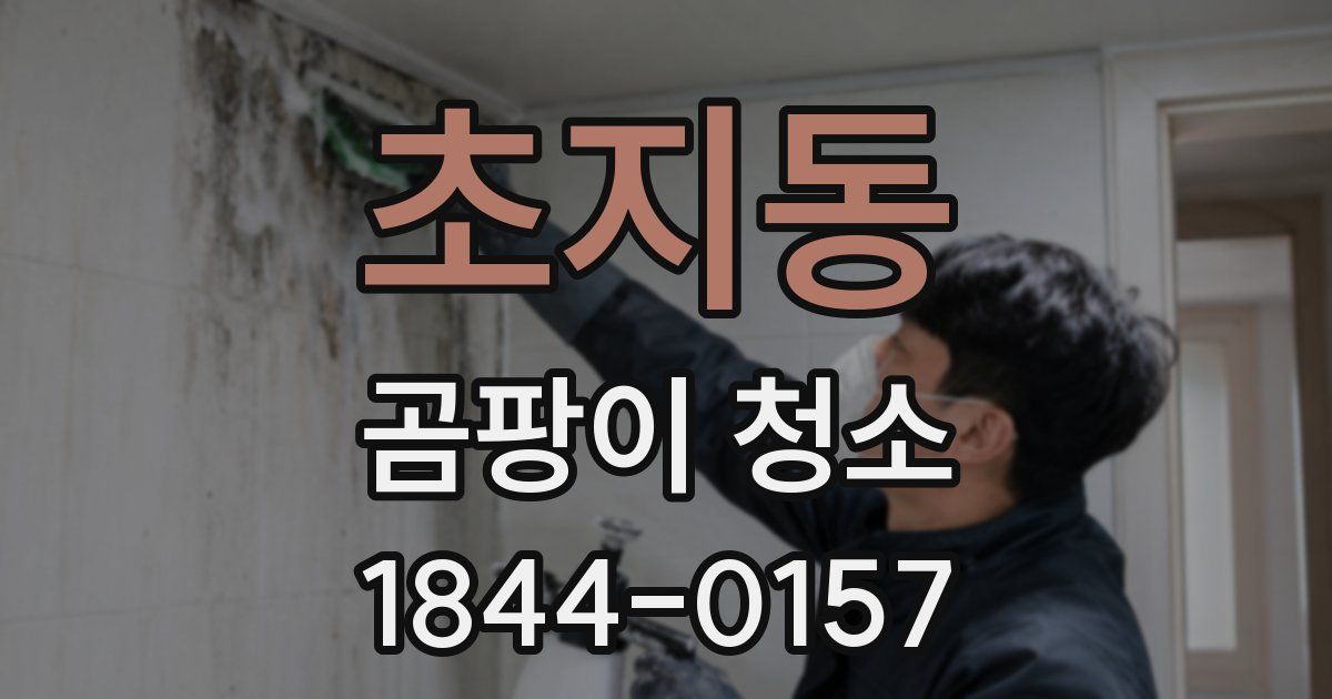 초지동 곰팡이 청소