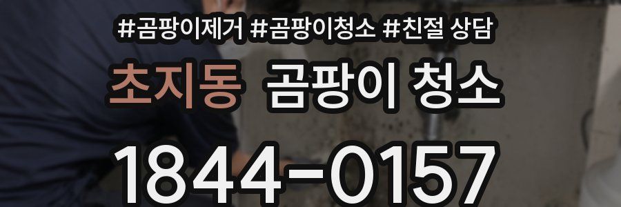 초지동 곰팡이 청소