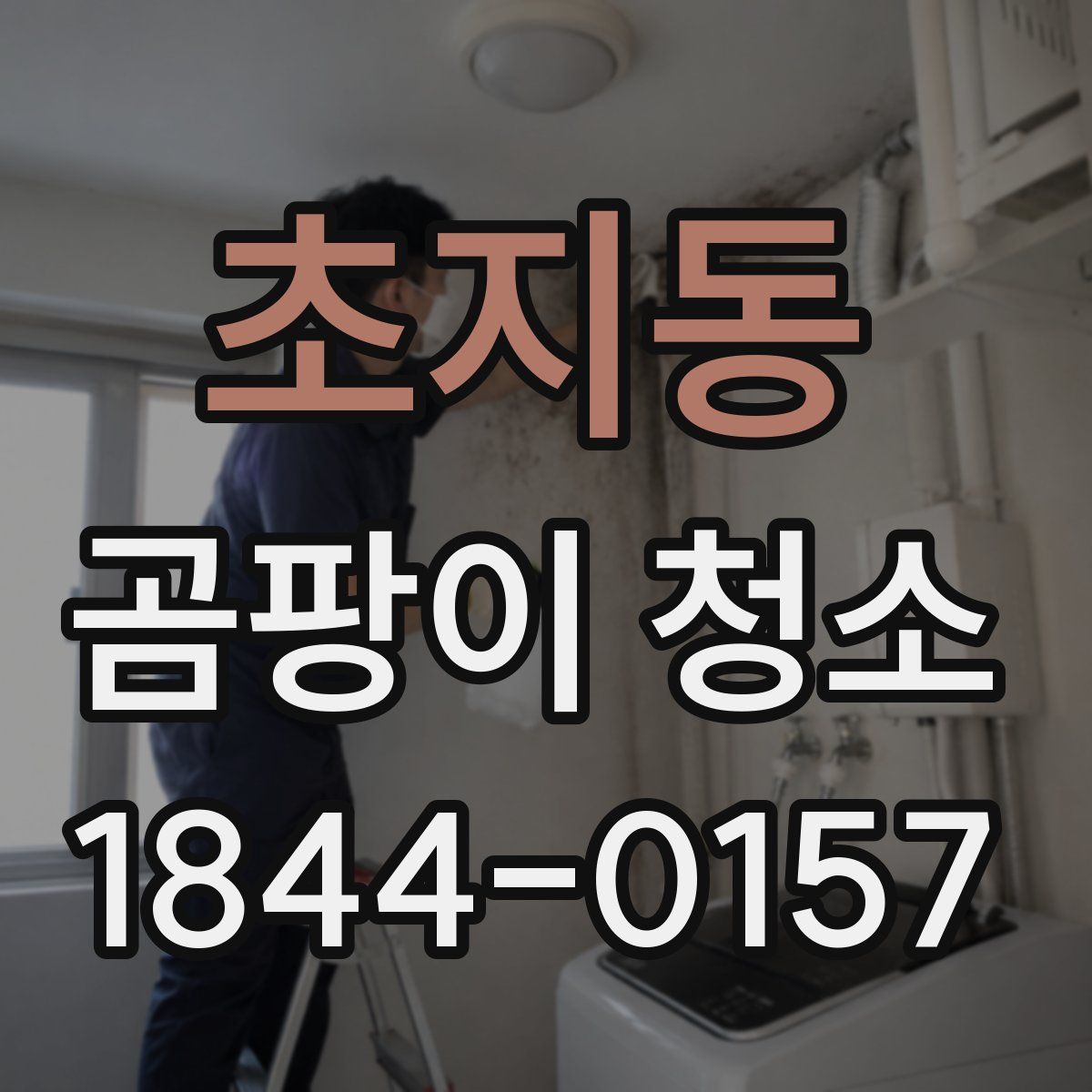 초지동 곰팡이 청소